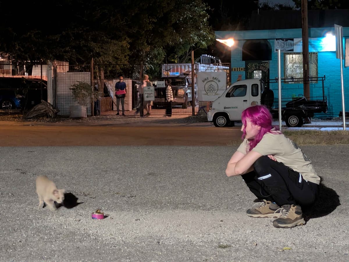 Safely baiting a stray cat