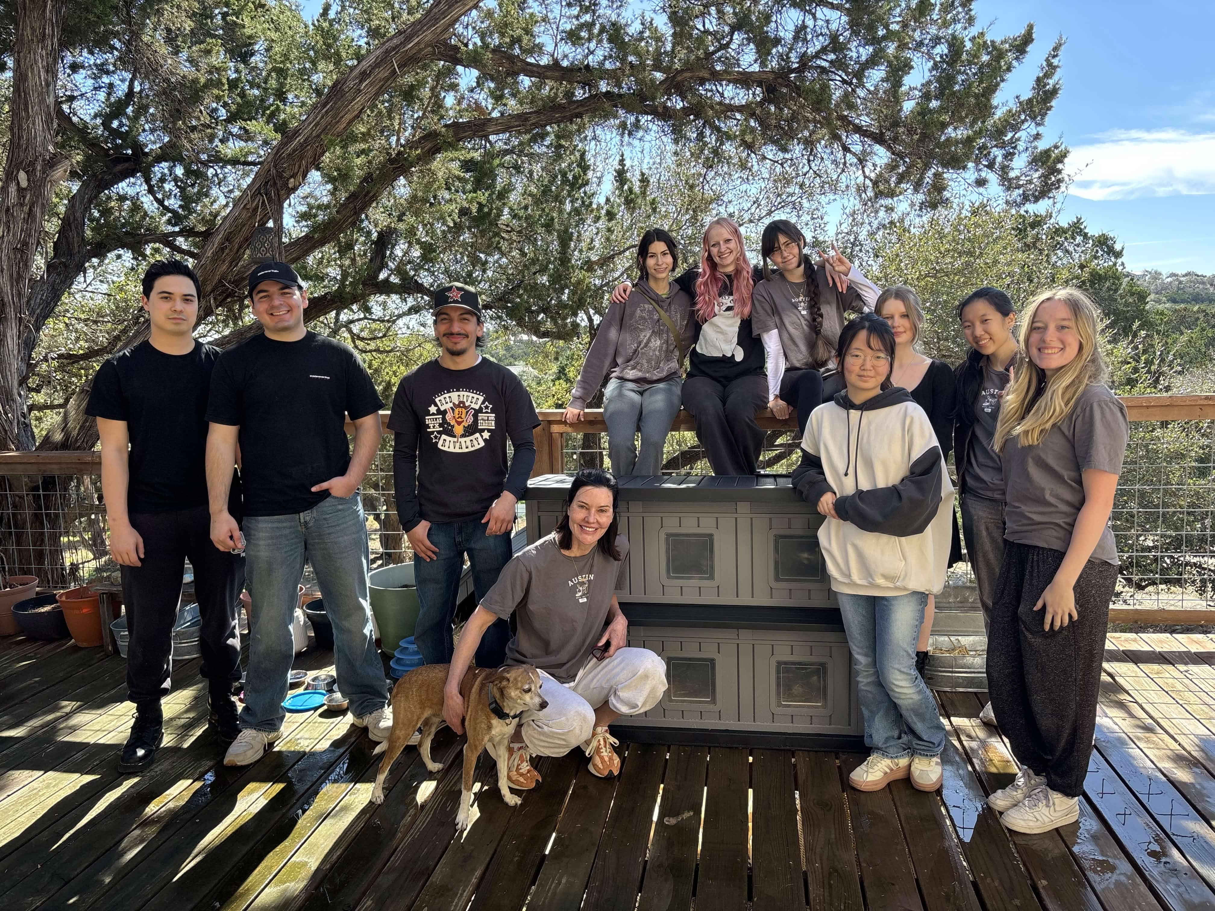 Volunteer Group at Sanctuary